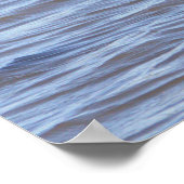 Affiche Oiseau debout dans l'eau (Coin)