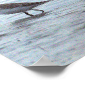 Affiche Oiseau sur la Plage (Coin)