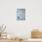 Affiche Oiseau sur la Plage (Cuisine)