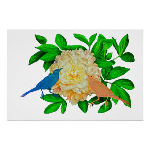 Affiche Oiseaux et fleurs
