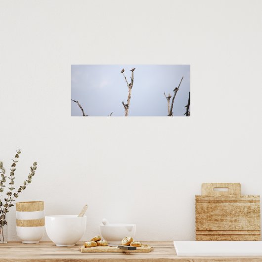 Affiche Oiseaux sur les Branches (Cuisine)