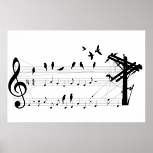 Affiche Oiseaux sur une note
