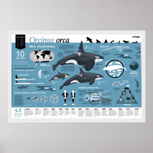 Affiche orcagraphique - Édition française (Devant)