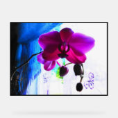 Affiche, Orchidée Magenta, options de fond de coul (Recto)