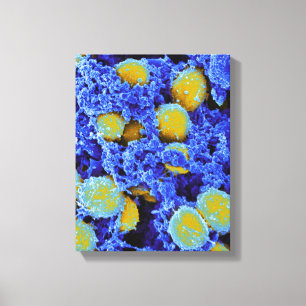 affiche ou toile d'art abstrait de microbiologie