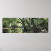 Affiche panoramique de Cypress River -60x20 -ou pl (Devant)
