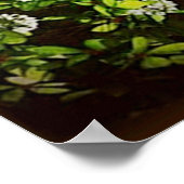 affiche paon dans le cadre DE 14.95 (Coin)