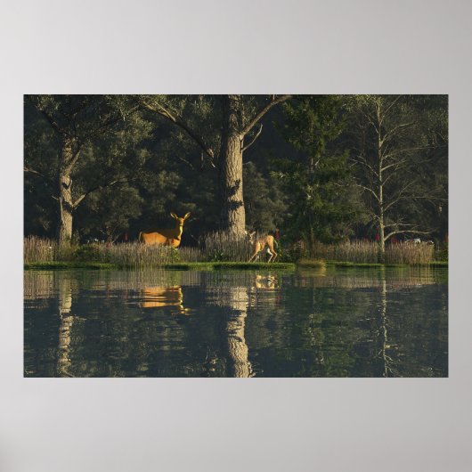 Affiche papier 30" x 24" avec l'image "Effrayée" (Devant)