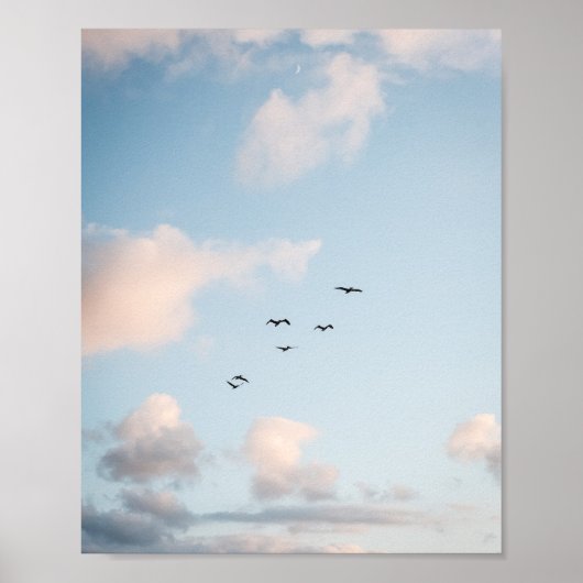 Affiche papier de coucher de soleil de pélican (se (Devant)