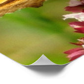 Affiche papillon (Coin)