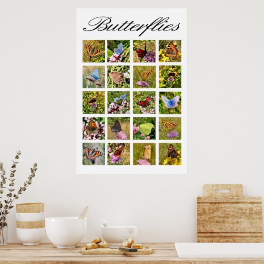 Affiche papillon (Cuisine)
