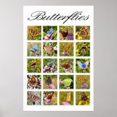 Affiche papillon (Devant)