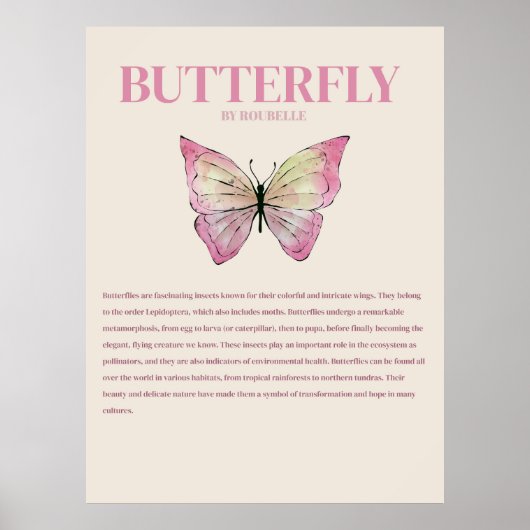 Affiche Papillon (Devant)