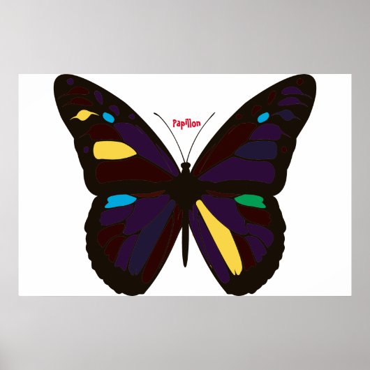 Affiche Papillon (Devant)