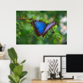 Affiche Papillon Bleu (Bureau à domicile)