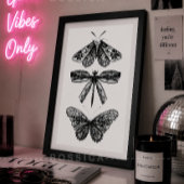 Affiche Papillon Dragonfly & Moth Noir & Blanc