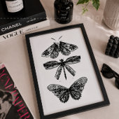 Affiche Papillon Dragonfly & Moth Noir & Blanc