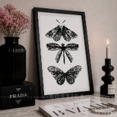 Affiche Papillon Dragonfly & Moth Noir & Blanc