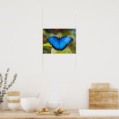 Affiche papillon morpho bleu (Cuisine)