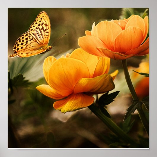 Affiche papillon sur fleurs orange (Devant)