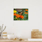 Affiche Papillon sur Fleurs Orange et Jaune (Cuisine)