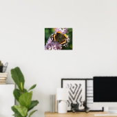 Affiche Papillon Vanessa atalanta et Buddleia (Bureau à domicile)