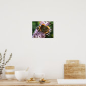 Affiche Papillon Vanessa atalanta et Buddleia (Cuisine)