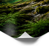 Affiche Paradis de la Cascade d'Émeraude (Coin)