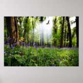 affiche paradis trouvé (Devant)