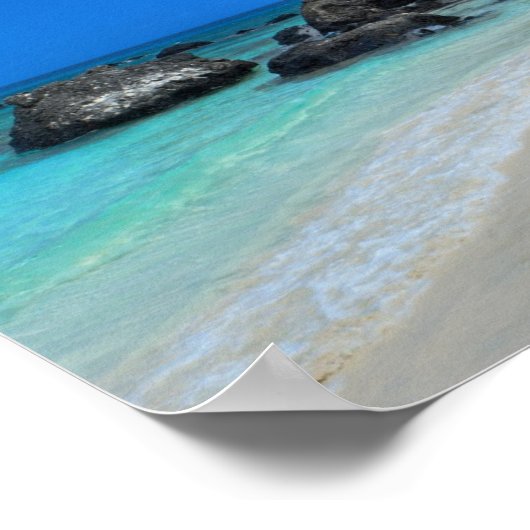 Affiche Paradise (Coin)