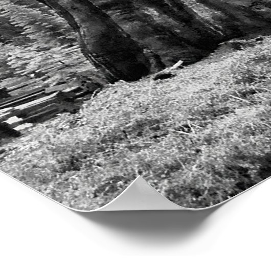 Affiche Parmi les géants (Coin)