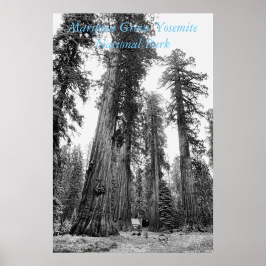 Affiche Parmi les géants (Devant)