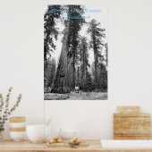 Affiche Parmi les géants (Cuisine)