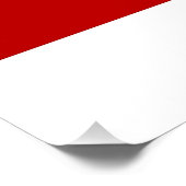 Affiche patriotique avec drapeau de Washington DC (Coin)