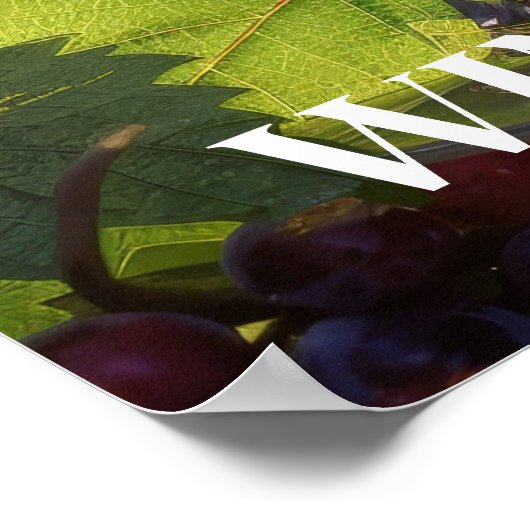 Affiche Pays Vin (Coin)