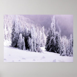 Affiche paysagère couverte de neige