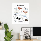 Affiche pédagogique pour la classe sur les animaux (Bureau à domicile)