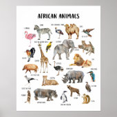 Affiche pédagogique sur les animaux africains pour (Devant)