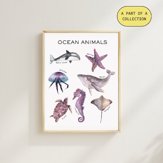 Affiche pédagogique sur les animaux océaniques
