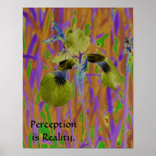Affiche Perception est Réalité-Iris