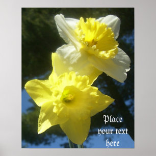Affiche personnalisable de belles jonquilles de