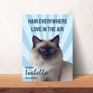 Affiche personnalisée de chat « Poils partout, amo
