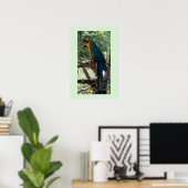 Affiche photo d'ara (Bureau à domicile)