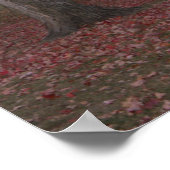 Affiche photo d'arbres d'automne (Coin)