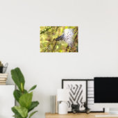 Affiche photo d'asclépiade (Bureau à domicile)