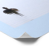 Affiche Photo de Canards (Coin)