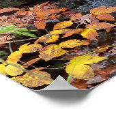 Affiche photo de feuilles d'automne et cascade (Coin)