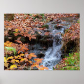 Affiche photo de feuilles d'automne et cascade (Devant)