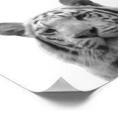 Affiche photo de la cabine de la nurserie Tigre No (Coin)