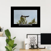 Affiche photo de la COOPÉRATION Bald Eagles (Bureau à domicile)